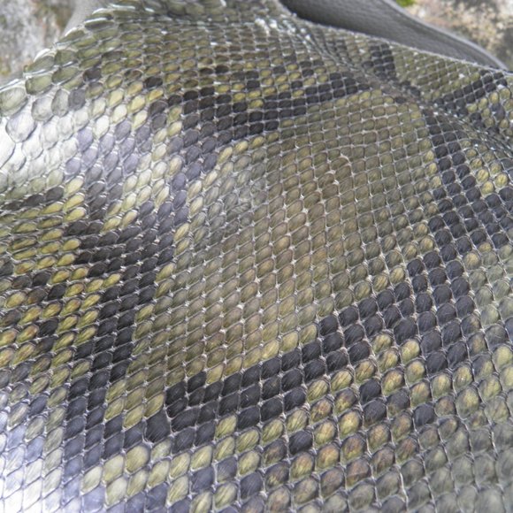 Gucci Greenwich Handbag Tote Python Leather - Picture 8 of 16